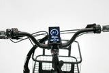 Jager Alma Tricycle